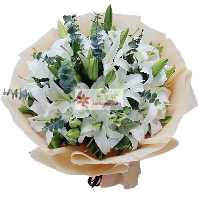 镇江9支白色多头百合，祝福你幸福