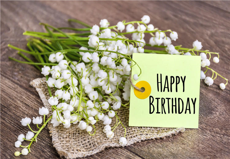 镇江好朋友过生日，生日祝福语怎么说？